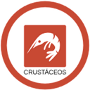 Crustáceos (11)